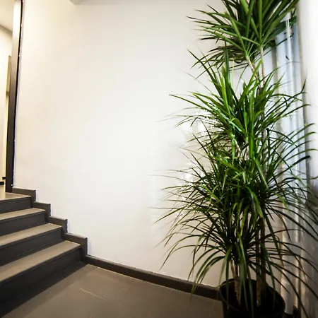 65 Budget Hotell 3*
