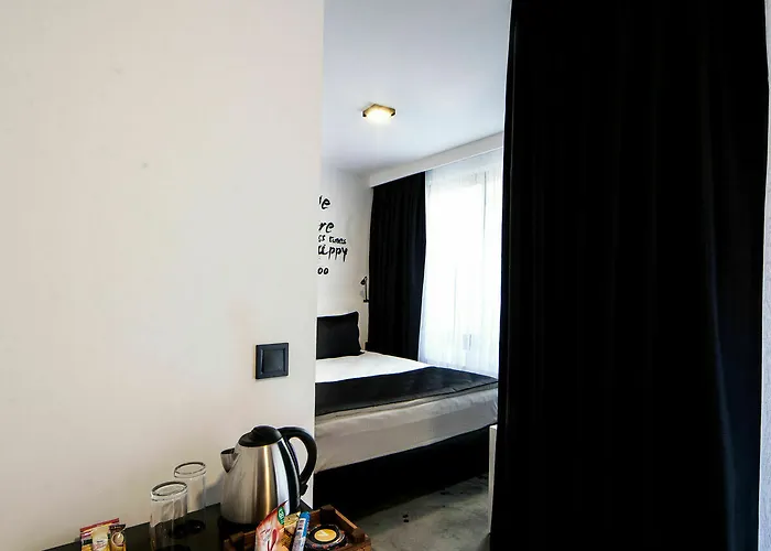 65 Budget Hotel 3*